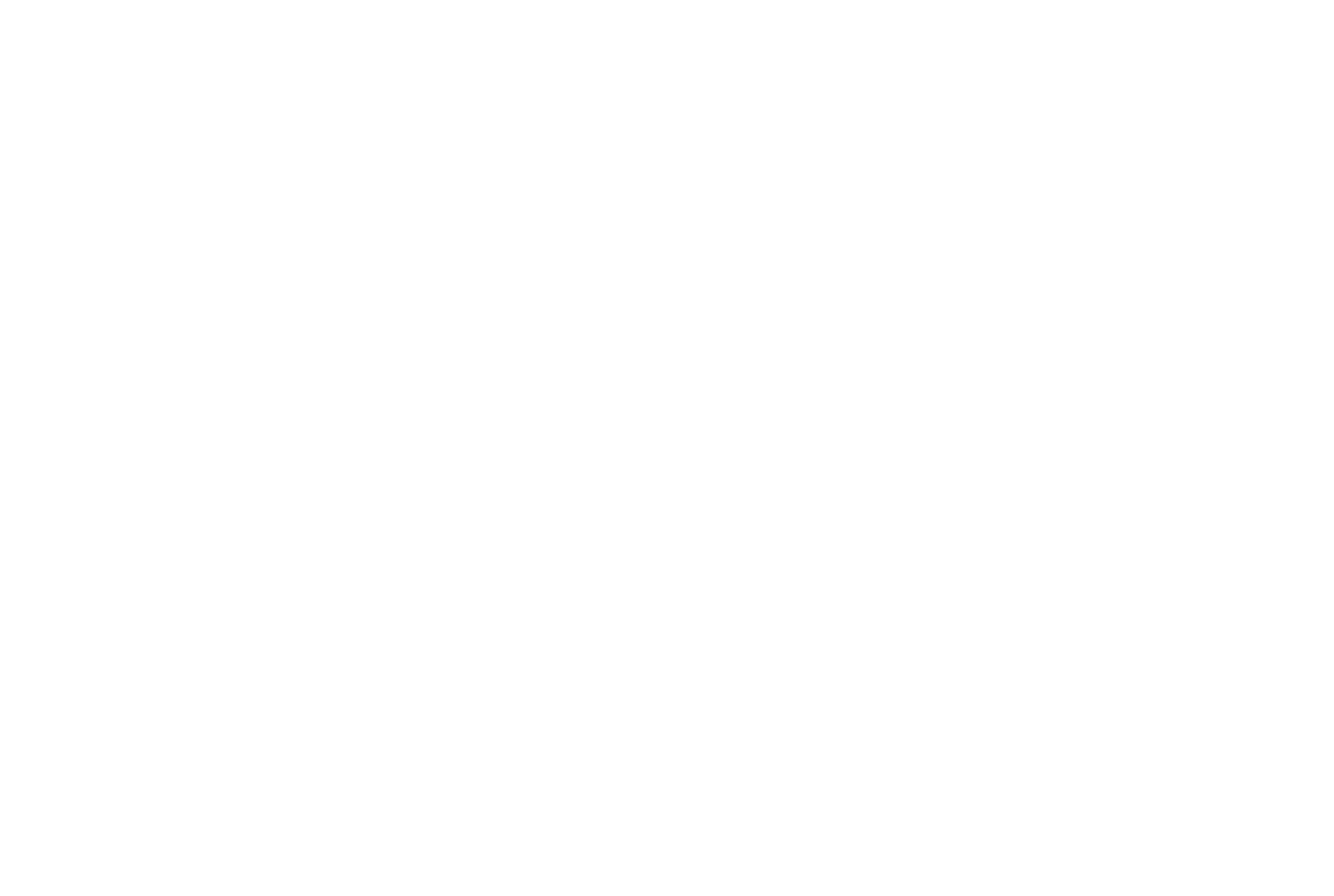 quintassentia logo